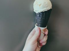 猫山王榴莲Gelato-乐凯撒披萨(海岸城店)