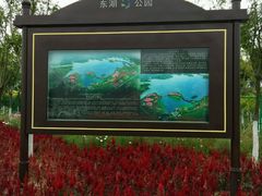 -天津东丽湖风景区