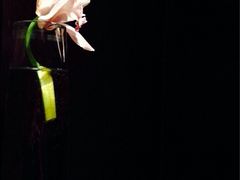 兰花一支-上海璞麗酒店