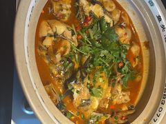 -魏铭鱼头捞饭(晋阳路店)