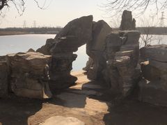 -大港湿地公园