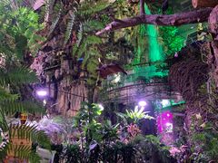 -正佳雨林生态植物园