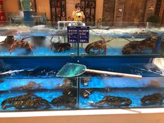 水产区-保定会馆(秀兰店)