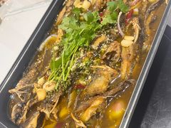 -青青河边草·小小河边鱼(万达广场太仓店)