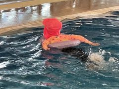 -广交会威斯汀酒店