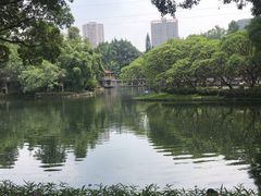 -晓港公园