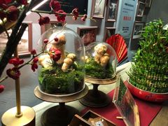 -原牛道·潮汕围炉火锅(讯美店)