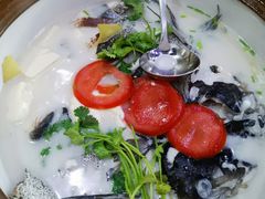 -全乐鱼馆·淳牌有机鱼直营店