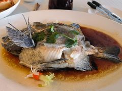 -寻味顺德·顺峰山庄(大良店)