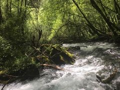 -叠溪松坪沟景区