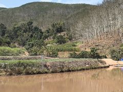 -平湖九龙山旅游度假区