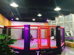 MMA八角笼-天行健身＆天行拳馆跆拳道·格斗TXGYM