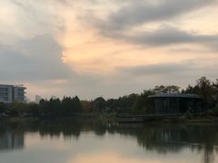 -尚贤河湿地