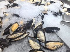 -皇家5号海鲜烤肉火锅自助餐(聊城总店)