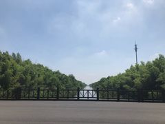 -黄海国家森林公园