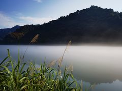 -醉美东江·三文鱼·烧鸡公