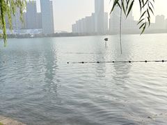 -天鹅湖体育公园