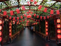 -东方华地城湿地温泉度假区