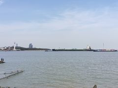 -上海滨江森林公园