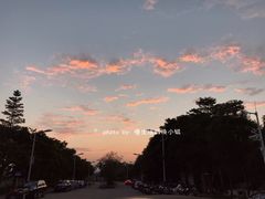景点-风云岭森林公园