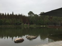 -上海怡沁园度假酒店