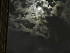 -往来·竹里.宝宝宴.生日宴.团建.宴席(花乡农居店)