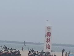 -东郊椰林