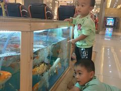 -宝业东城广场(东二环路店)