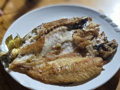 香煎黄花鱼-美食店(华贵路店)