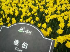 android_upload_pic-保利石象湖景区