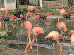 -石家庄市动物园