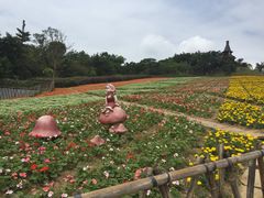 -东部华侨城