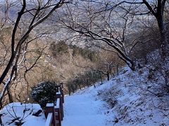 -香山公园