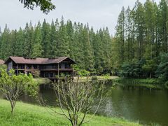 -黄海国家森林公园