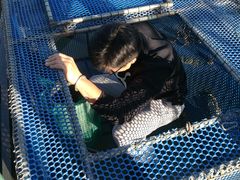 -水岸居湖景农家乐·阳澄湖大闸蟹