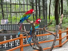 -北京野生动物园