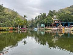 -西双版纳原始森林公园