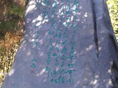 -紫竹院公园冰场