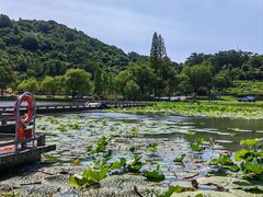 -南北湖风景区
