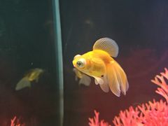 -欢乐海岸海洋奇梦馆