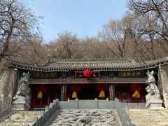 -高尔山公园