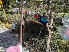 -珠海海泉湾神秘岛亲子乐园