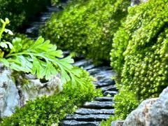 -爆肚金生隆(荣和天誉店)