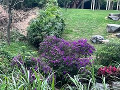 -火炉山森林公园