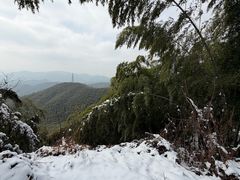 -莫干山风景区