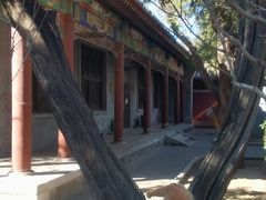 -北京市劳动人民文化宫(太庙)