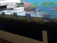 -亚龙湾亚泰商业街