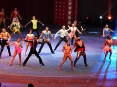 -珠海横琴长隆《卡卡虎奇遇记》