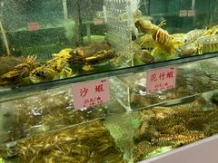 -东国海鲜火锅城(氹仔店)