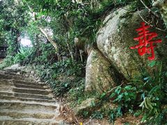 -海南铜鼓岭景区